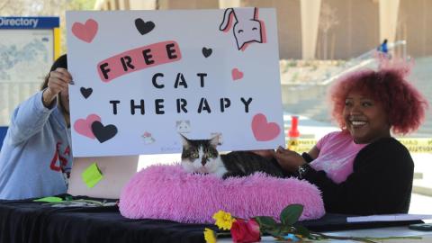 free cat therapy