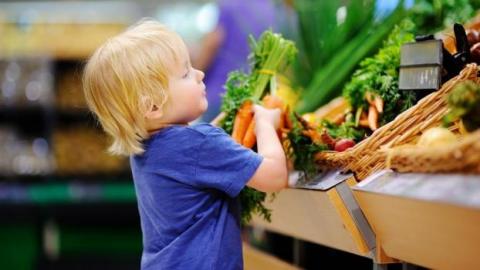 False memories could prompt kids to eat their veggies